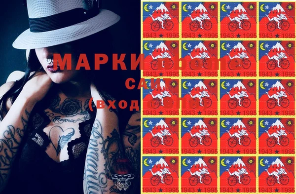 ешки Аркадак