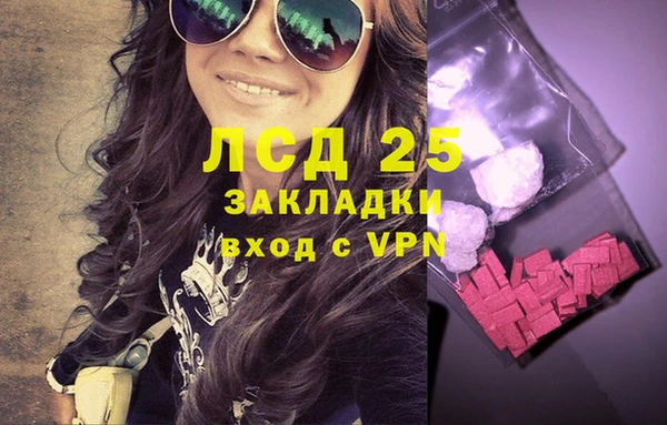 ешки Аркадак