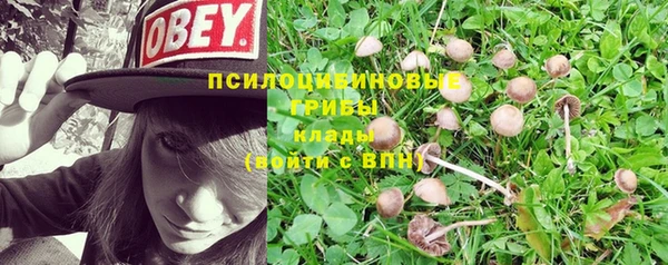 ешки Аркадак