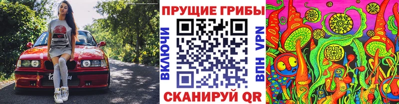 нарко площадка как зайти  Рославль  Псилоцибиновые грибы GOLDEN TEACHER 